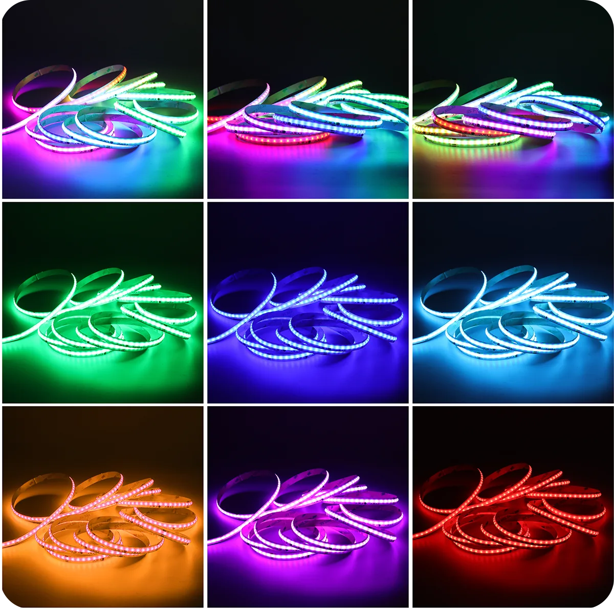 COB-576LED-10MM-RGBIC_다색