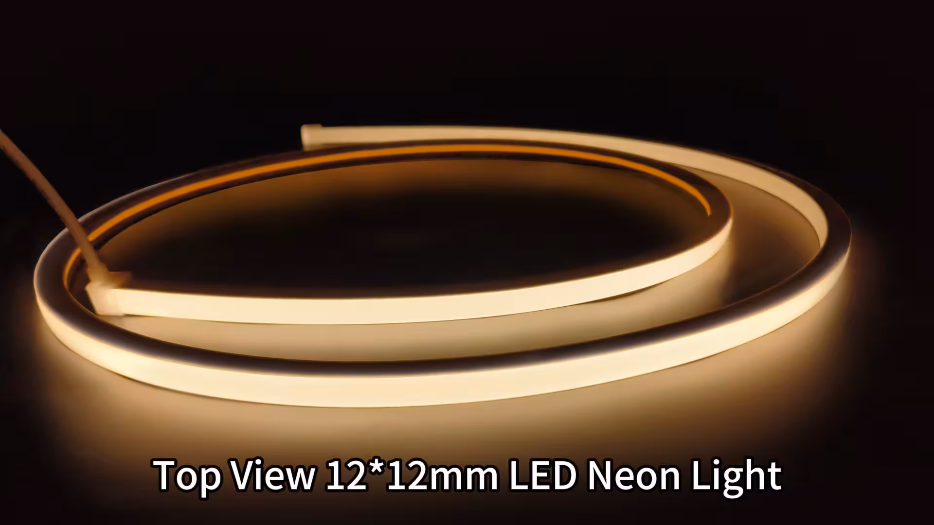 T1212_LED 霓虹灯带_01.1