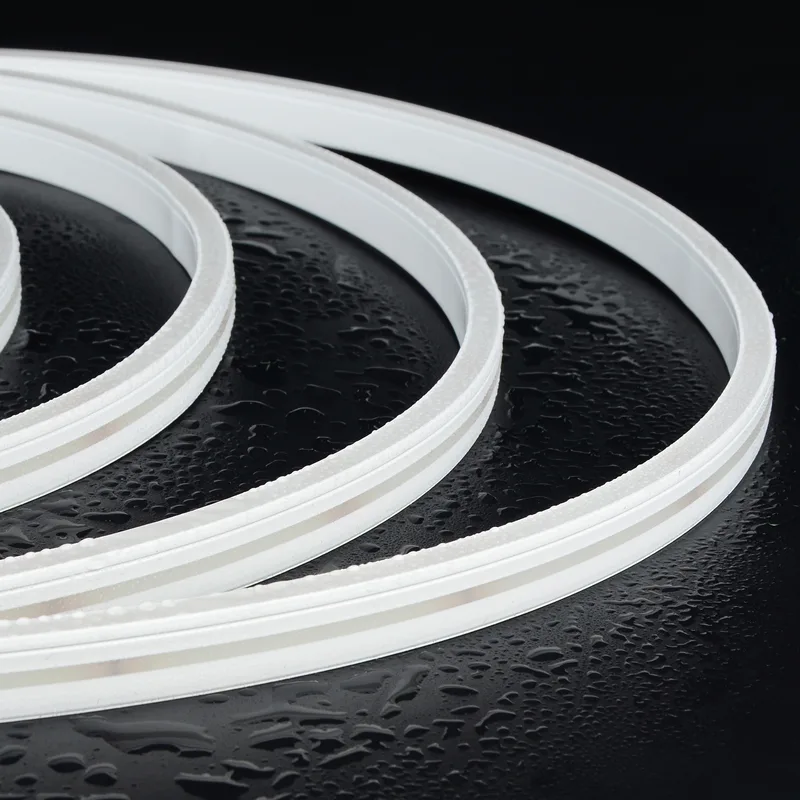 Striscia al neon a LED Flex per facciata architettonica – Serie NAX SC (01)