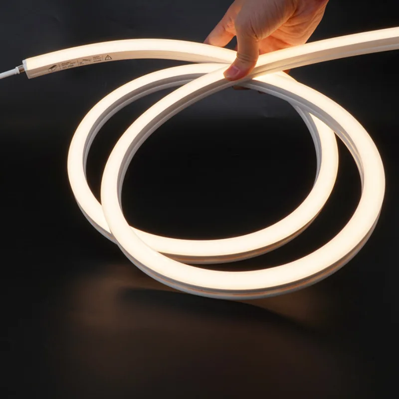 Striscia al neon a LED Flex per facciata architettonica – Serie NAX SC (02)