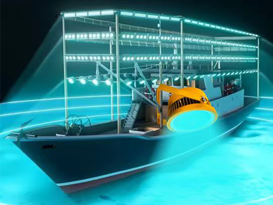 HERCHR 5 Luci LED Per Esca Da Pesca – Automatiche Subacquee – Anticorrosione – Acqua Dolce E Salata