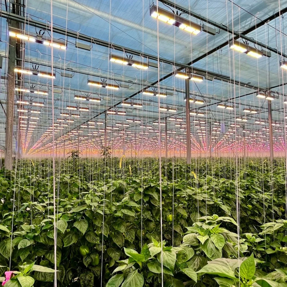 full spectrum grow light for greenhouse full spectrum grow light for greenhouse