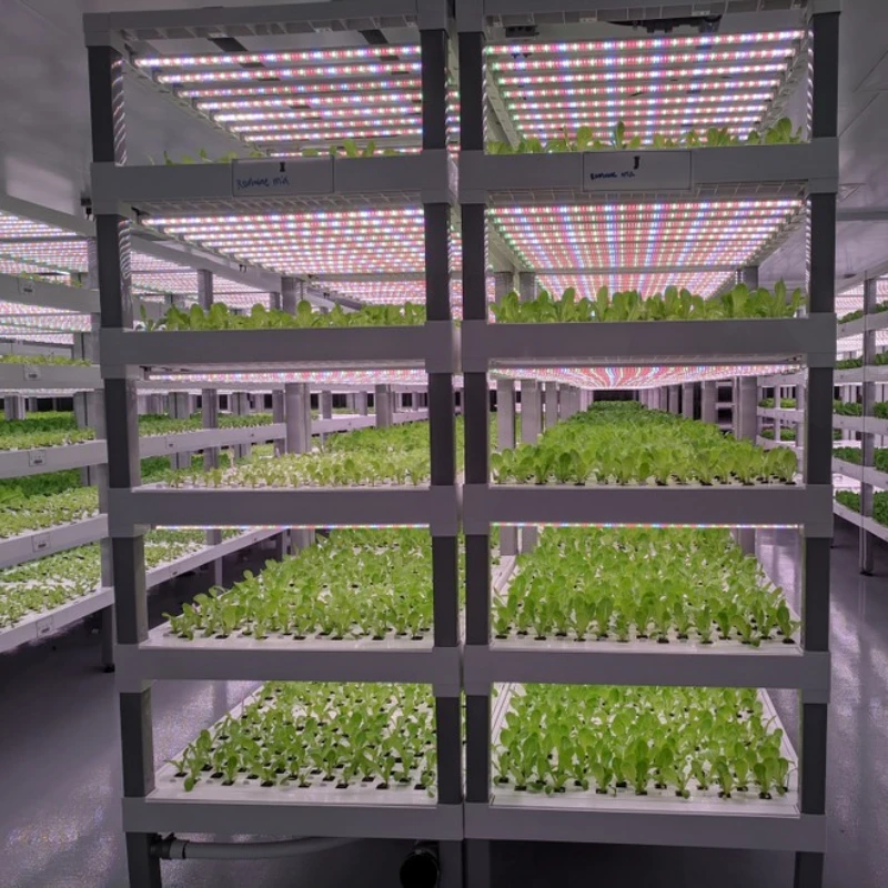 vertical farming with full spectrum grow light vertical farming with full spectrum grow light