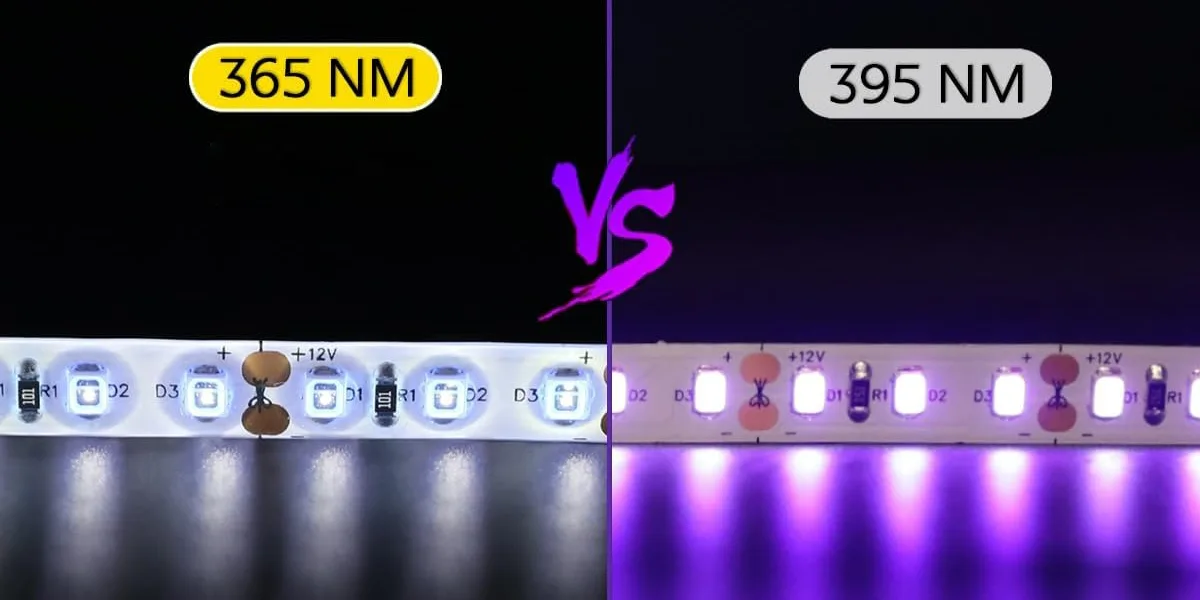 365nm vs. 395nm LED Strip Lights_Which Is Better 365nm vs. 395nm LED Strip Lights_Which Is Better