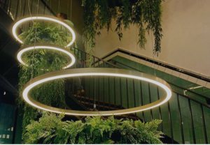 Commercial Linear Lighting Supplier