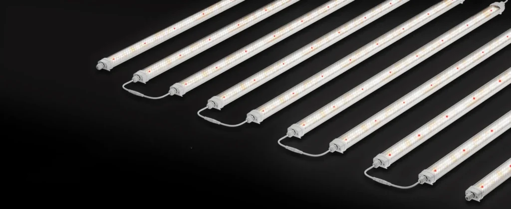 Daisy chain liear grow light Daisy chain liear grow light