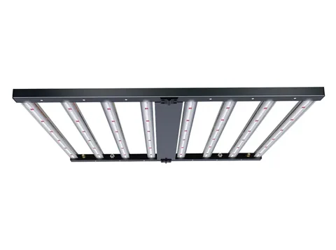 Luci di crescita LED ad alta potenza da 800 e 1000 watt