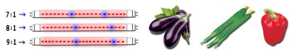 Geeignet für blühende und fruchttragende Pflanzen Geeignet für blühende und fruchttragende Pflanzen