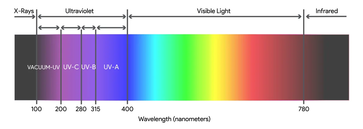 The Electromagnetic Spectrum The Electromagnetic Spectrum