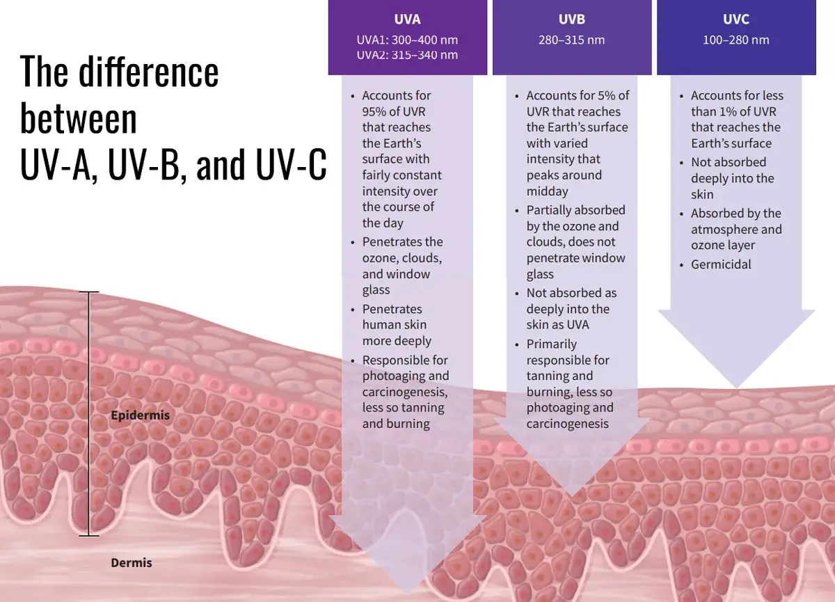 The difference between UV-A, UV-B, and UV-C The difference between UV-A, UV-B, and UV-C