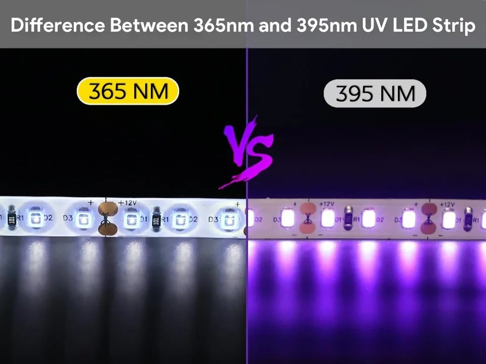 Het verschil tussen 365nm en 395nm UV LED-striplichten begrijpen