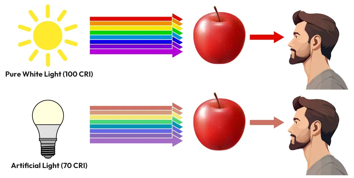 What is the Color Rendering Index (CRI) What is the Color Rendering Index (CRI)