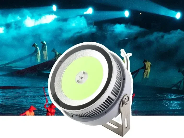 Leitfaden für LED-Fische Anziehen von Lichttechnik & Auswahl