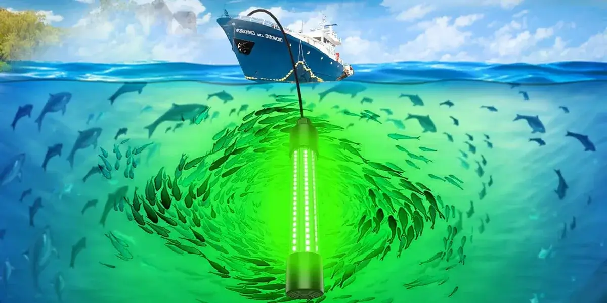 How Fish Attracting Lights Work How Fish Attracting Lights Work