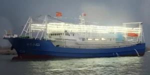 「白光鱼——吸引光