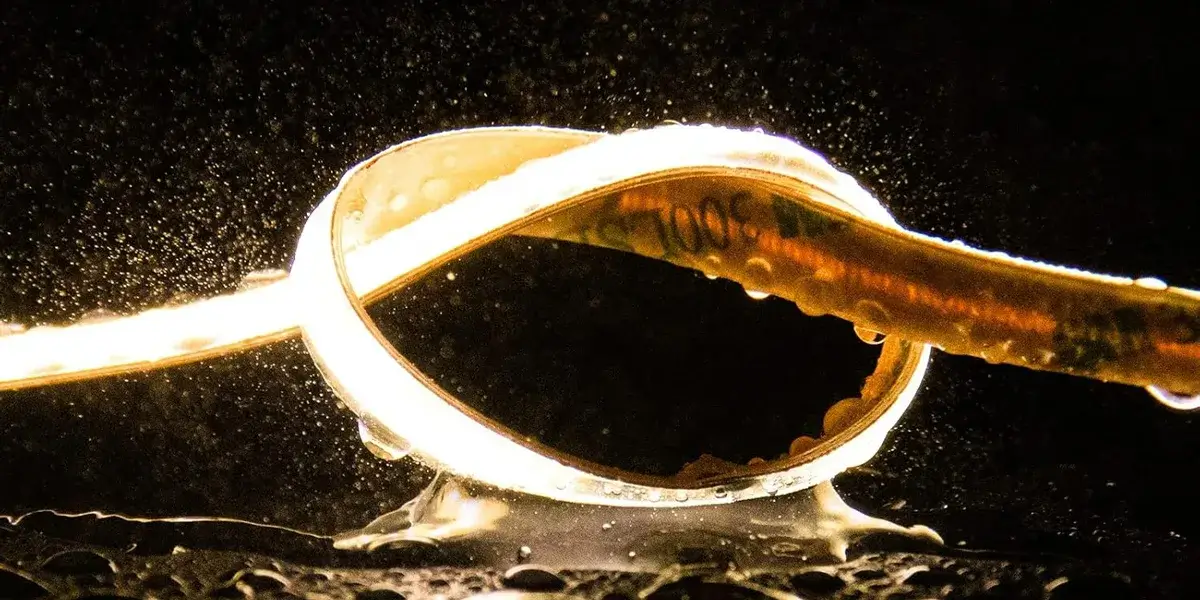 Why Do LED Strip Lights Need Waterproofing