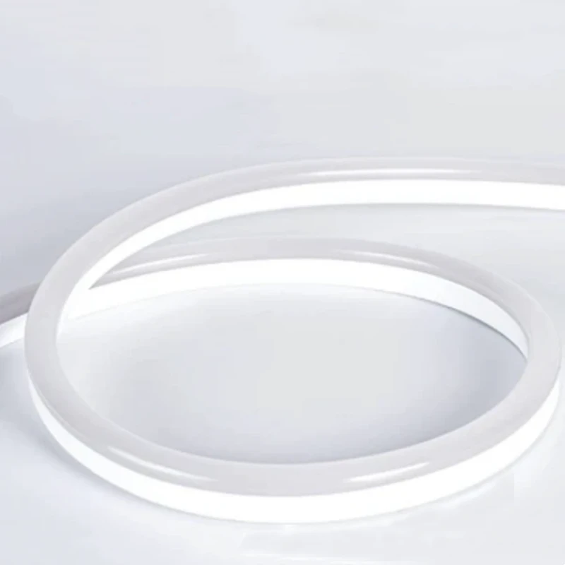 0612 PVC neon light