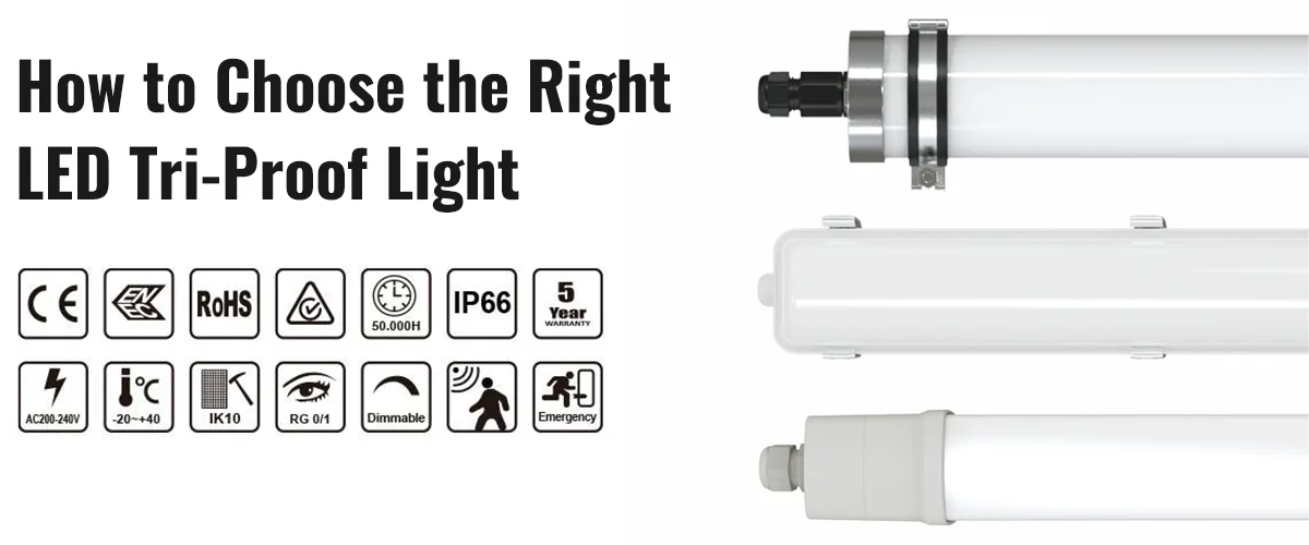 How to Choose the Right LED Tri-Proof Light How to Choose the Right LED Tri-Proof Light