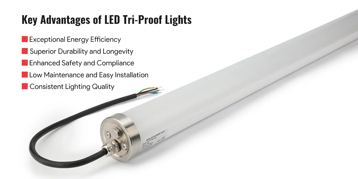 Key Advantages of LED Tri-Proof Lights Key Advantages of LED Tri-Proof Lights