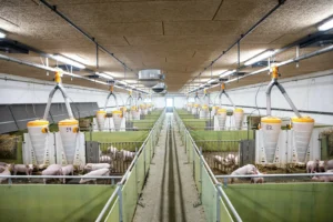 LED Tri-Proof Lights for Livestock Lighting