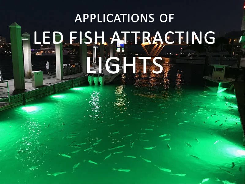 luci di pesce a led che attraggono le luci