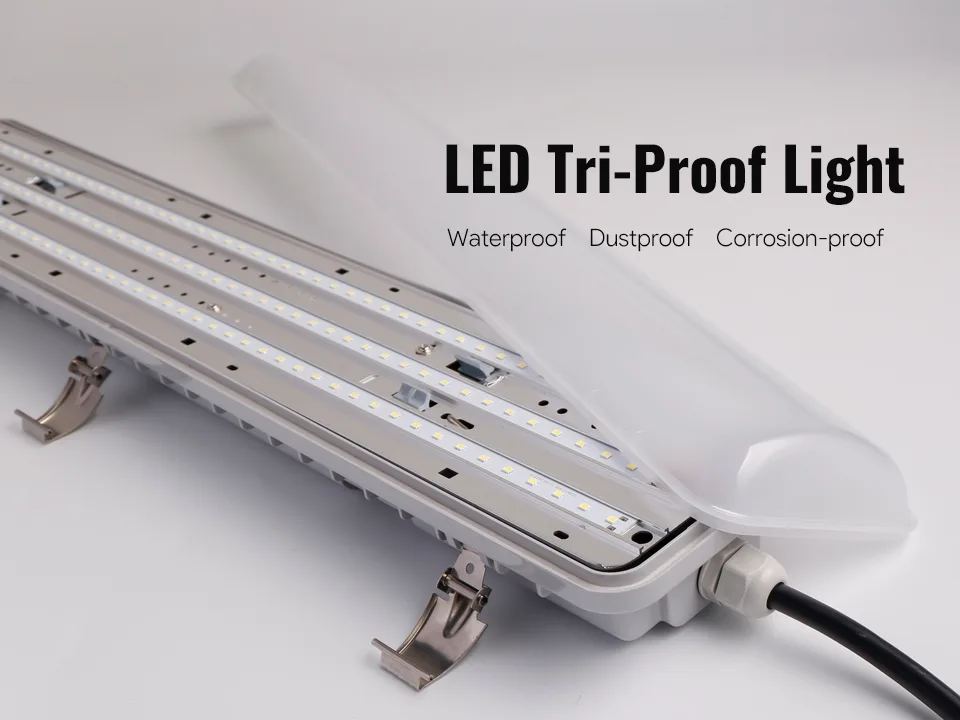 What is an LED Tri-Proof Light - All You Need to Know