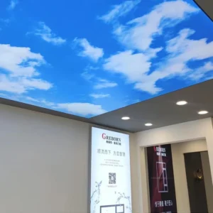 DMX Controllable for Architectural Ceiling Lighting