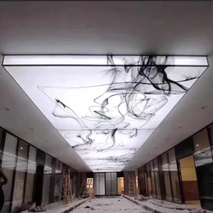 Single Color LED Module ceiling lighting