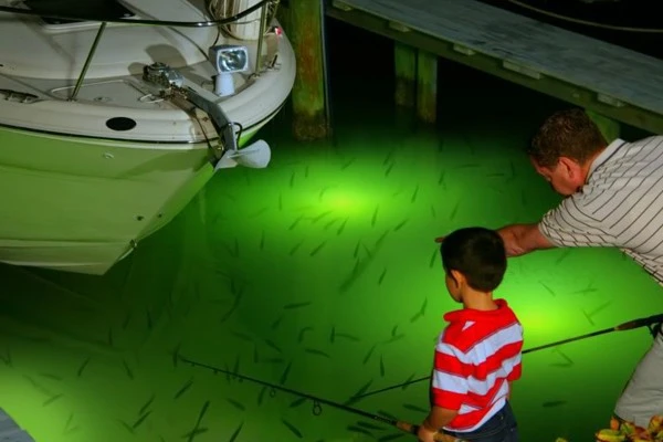 Boat-Mounted Night Fishing