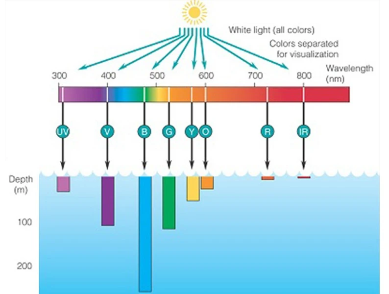 钓鱼光-彩色-渗水