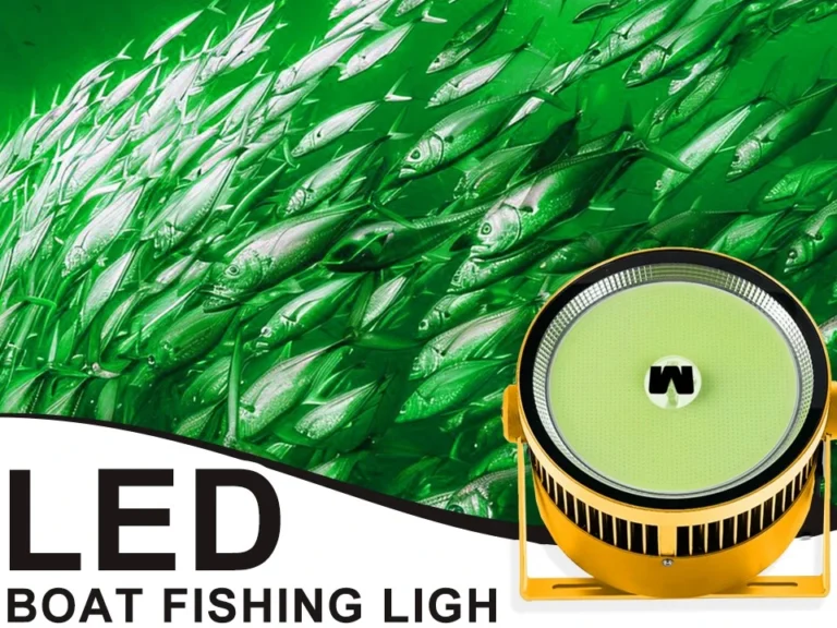 green-led-fish-attracting-lights-night-scene