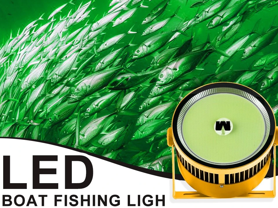 green-led-fish-attracting-lights-night-scene