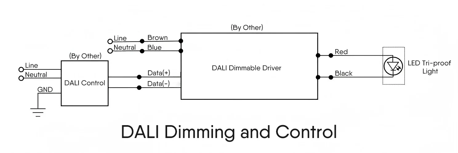 What is DALI Dimming and Control