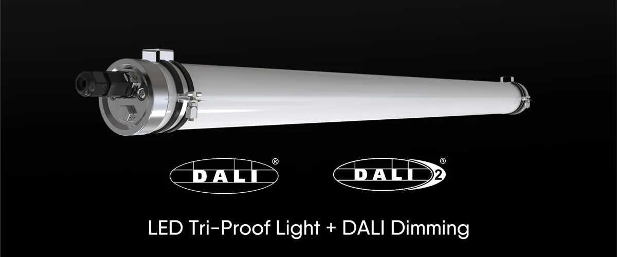 Why Choose LED Tri-Proof Lights + DALI Dimming