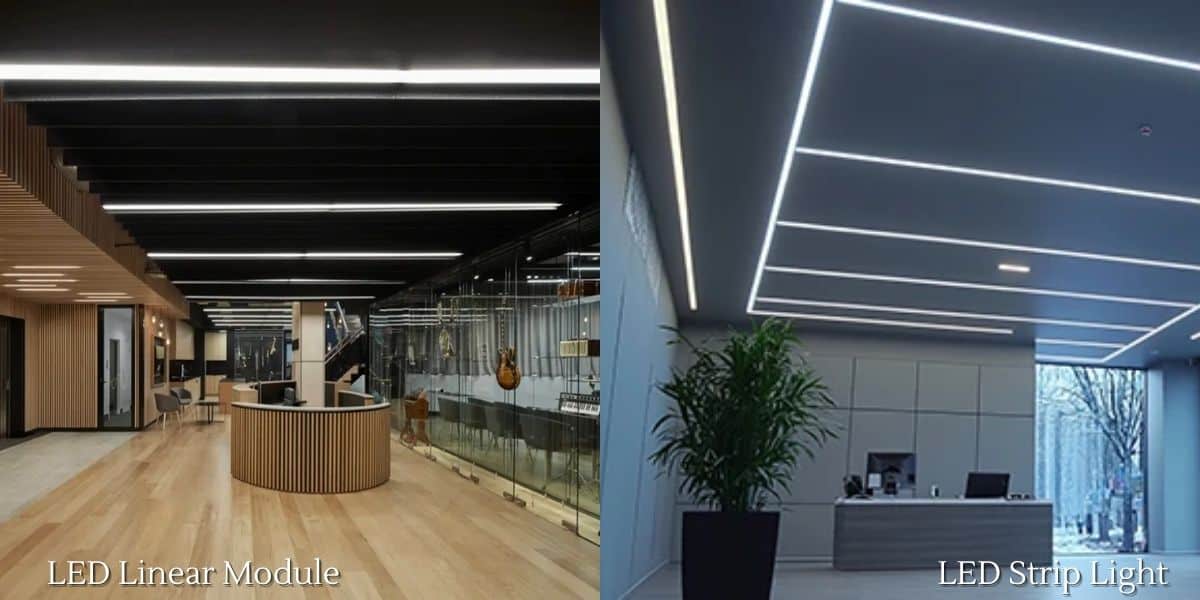 LED Linear Module vs LED Strip Light
