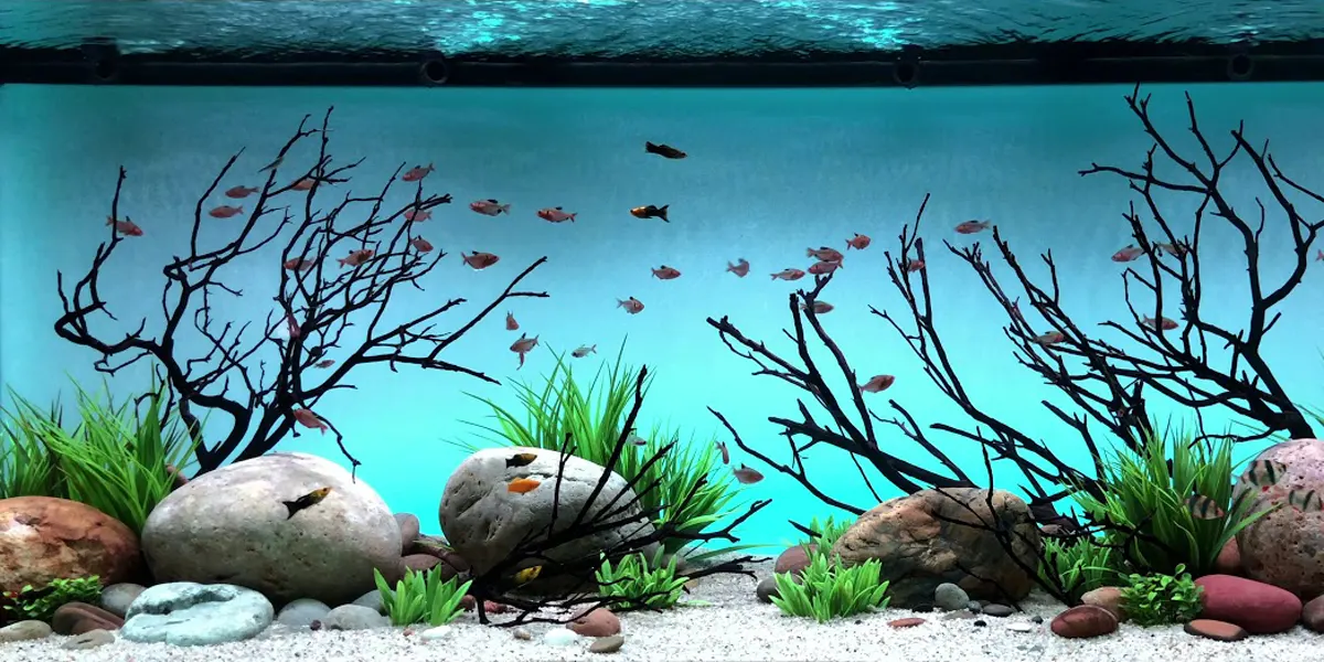 Cyan LED in Aquarium Lighting