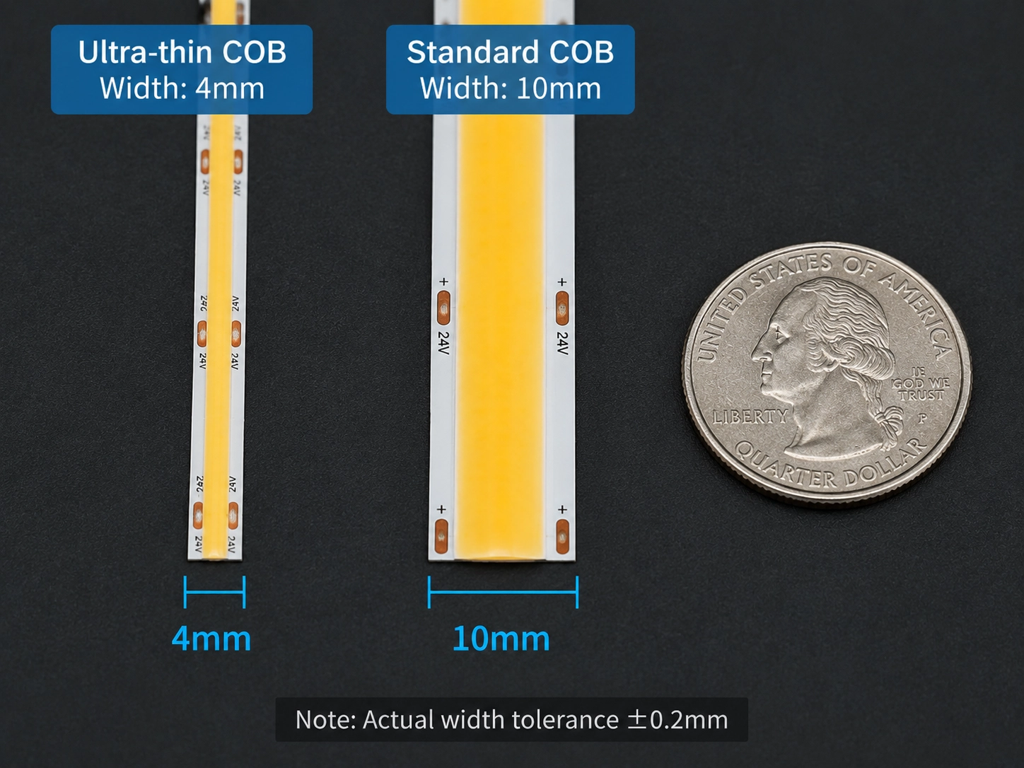 ultra-thin-vs-standard-cob-width-comparison Side-by-side width comparison of ultra-thin COB LED strip and standard COB LED strip with scale reference